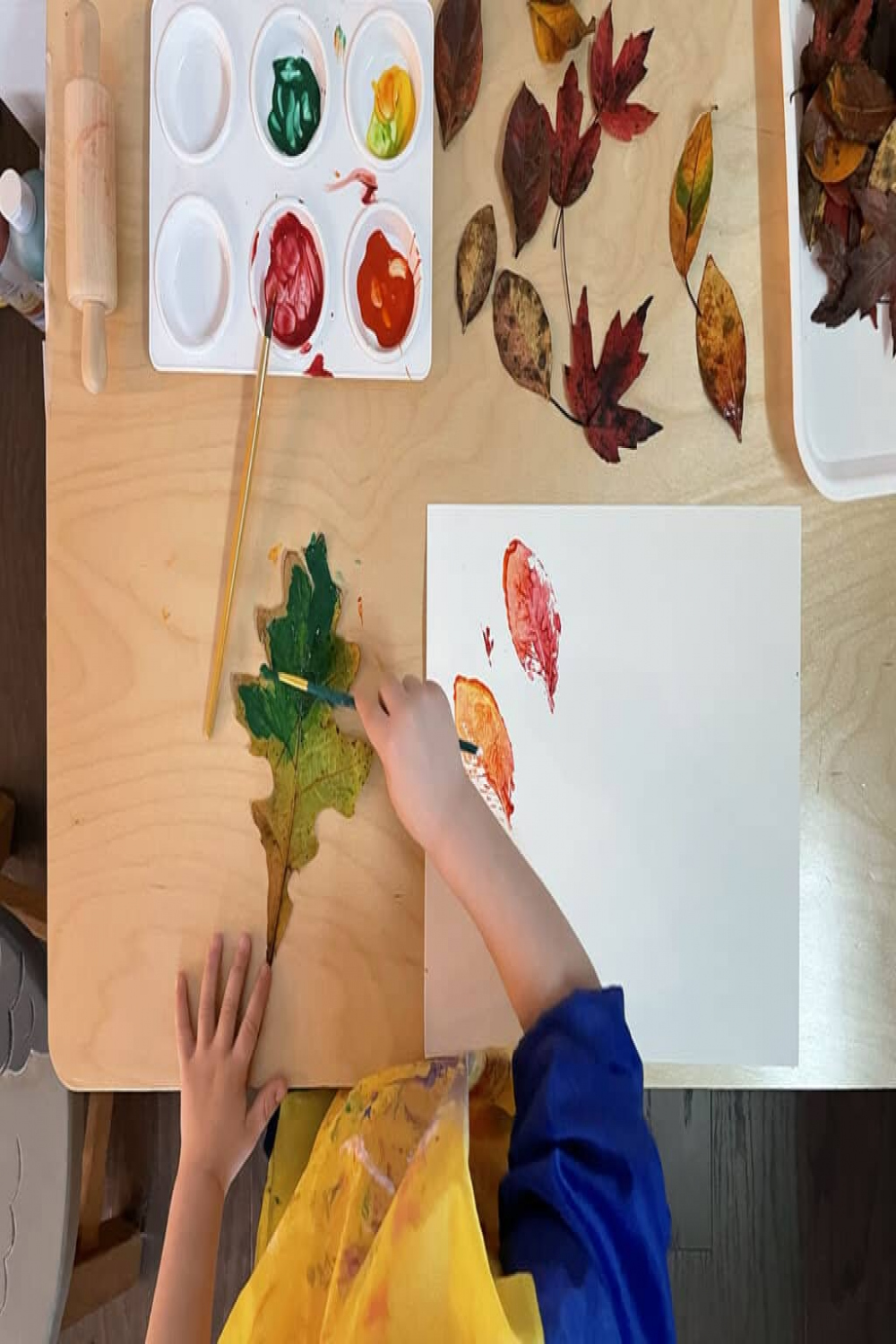 Awesome Leaf Activities for Preschoolers Plus a Printable