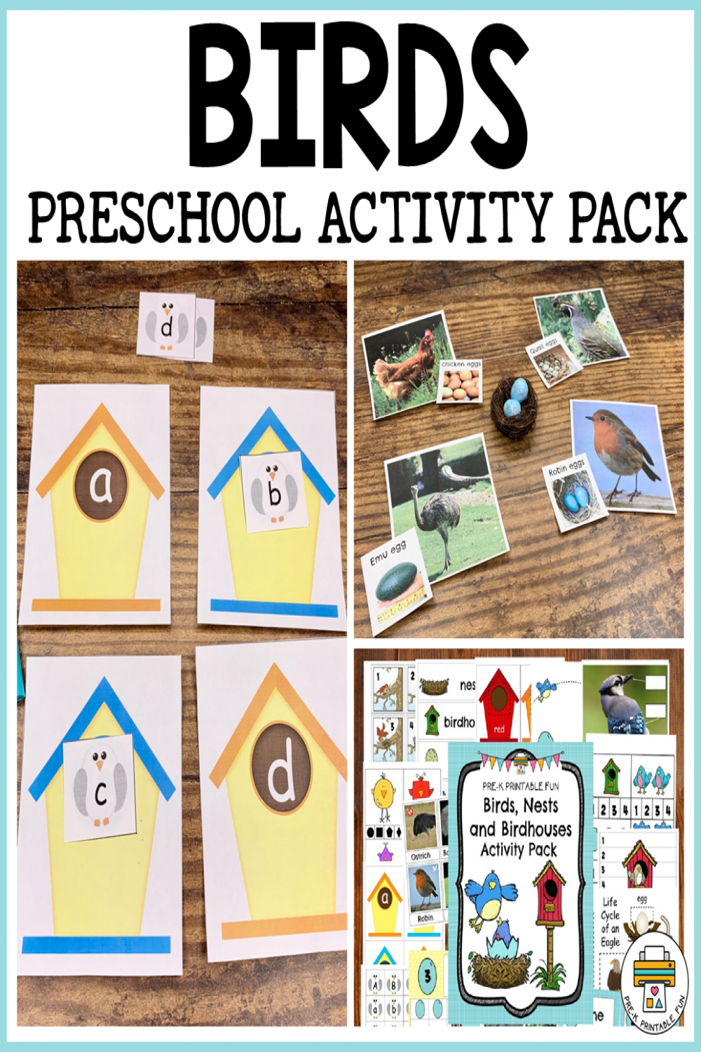 Bird Preschool Activities - Pre-K Printable Fun