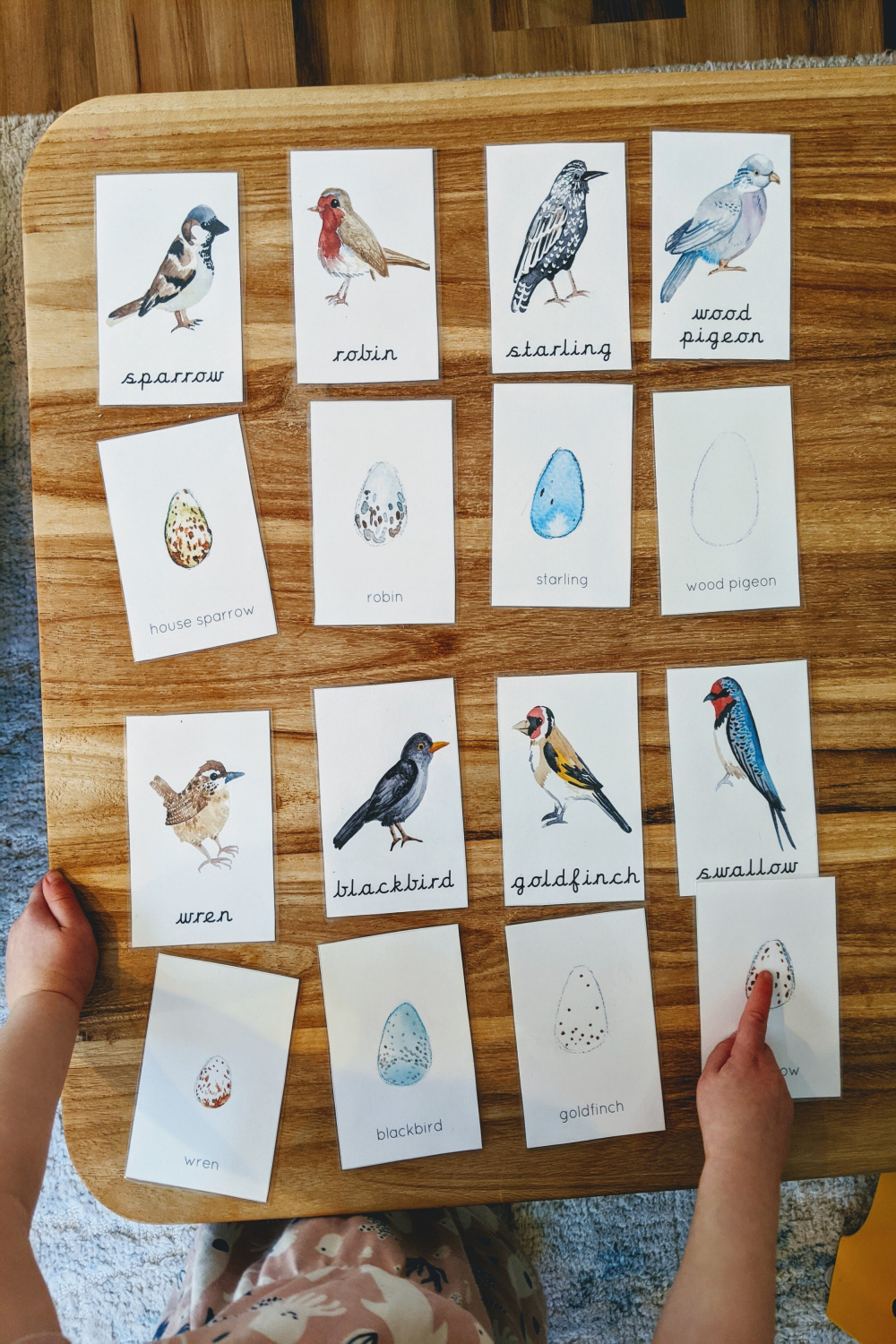 Bird-Themed Activities for Toddlers — Montessori in Real Life