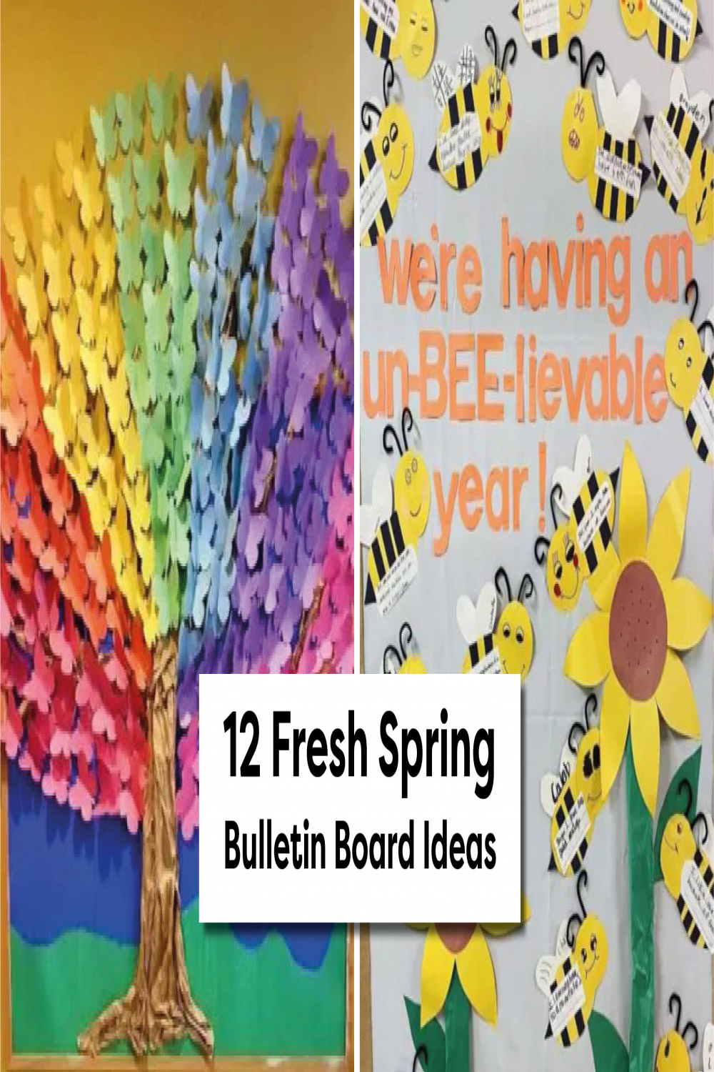 Fresh Spring Bulletin Board Ideas - TeacherVision