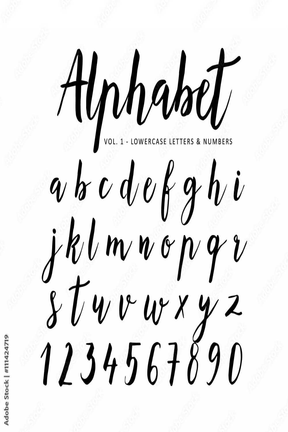 Hand drawn vector alphabet. Script font. Brush font