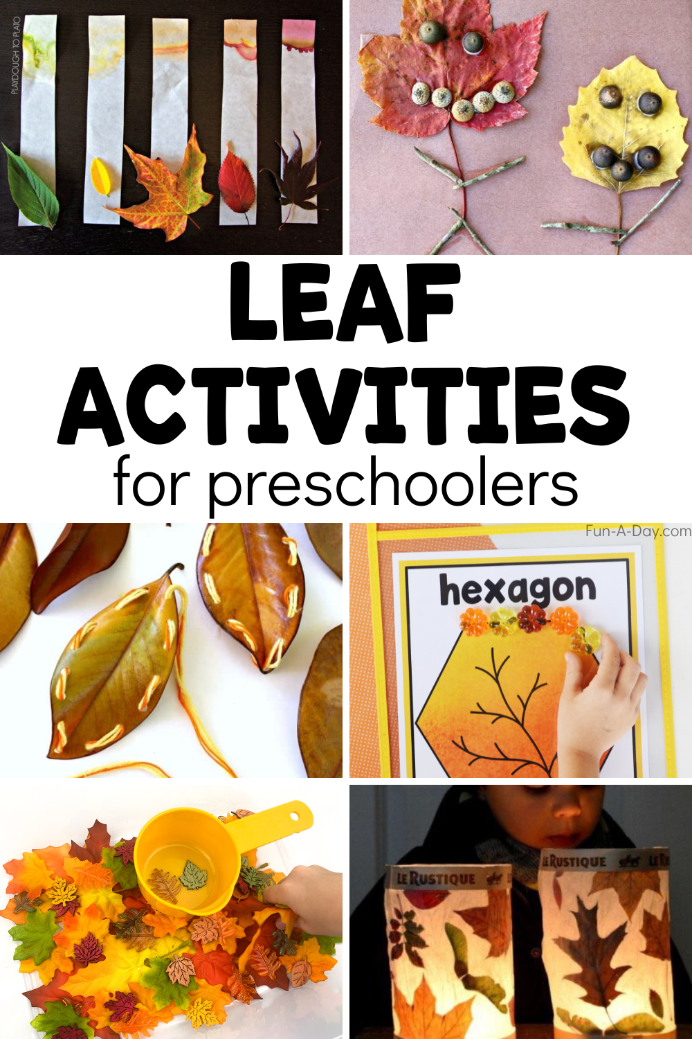 + Leaf Activities for Preschoolers - Fun-A-Day!