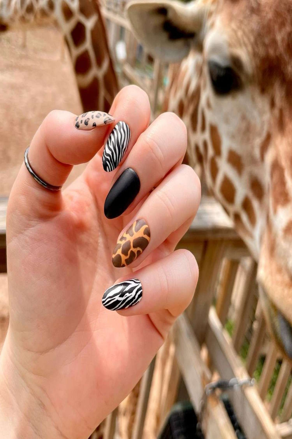 Modern Animal Print Nail Designs That Embrace Your Wild Side