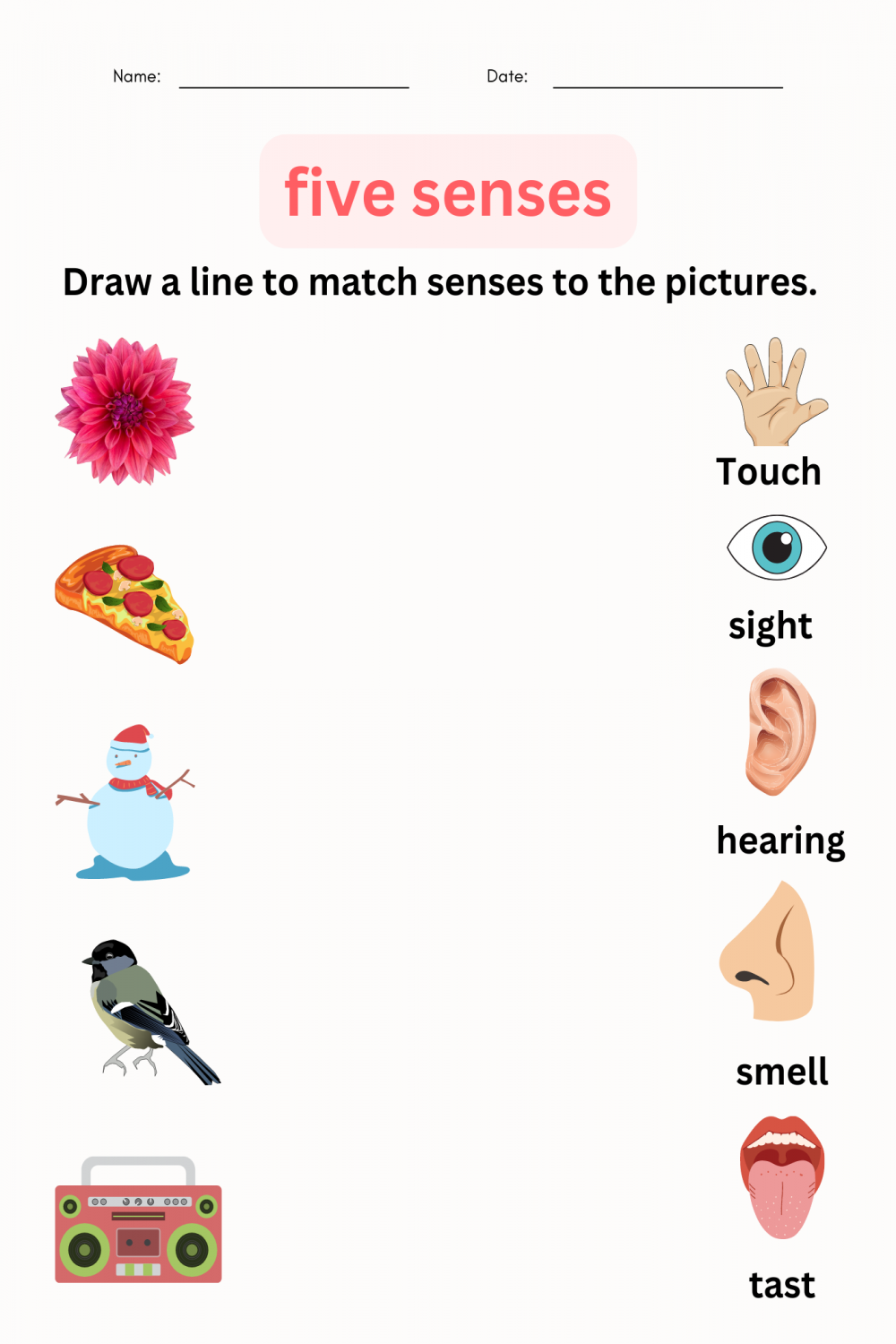 Observing Using the Five Senses Worksheets  Science for Kindergarten