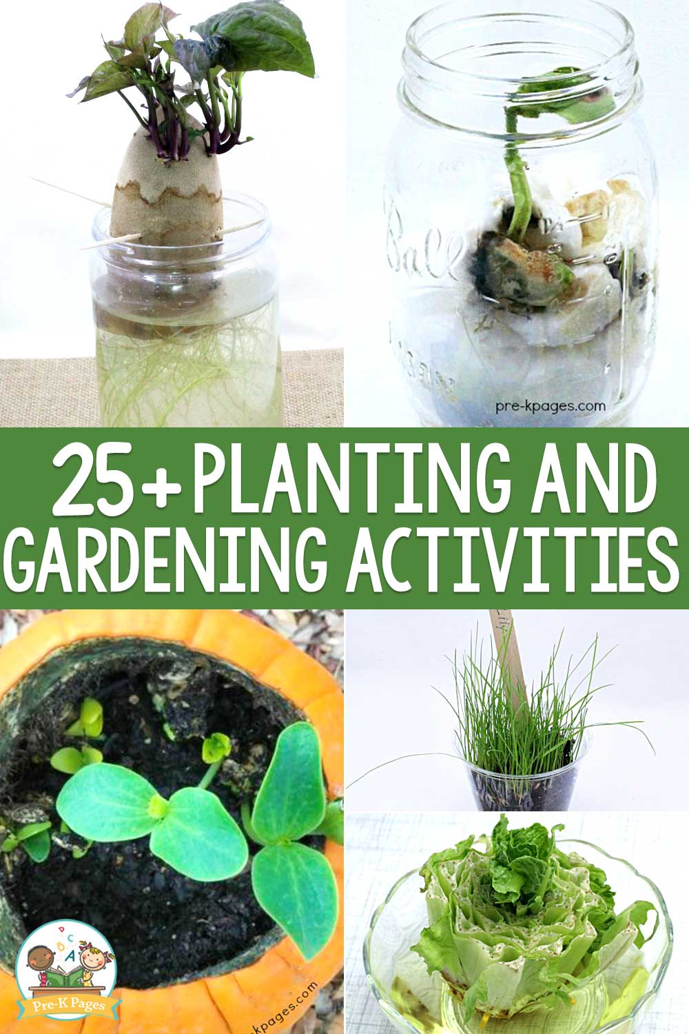 Planting And Gardening Activies For Preschoolers