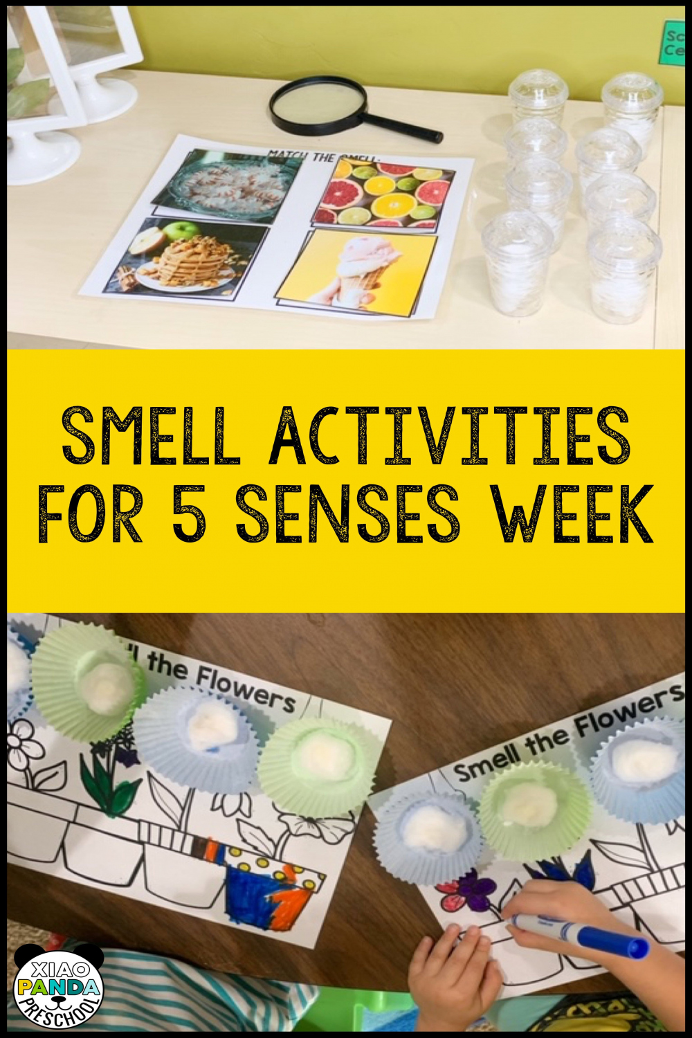 Smell Activities for Preschool  Senses preschool, Preschool