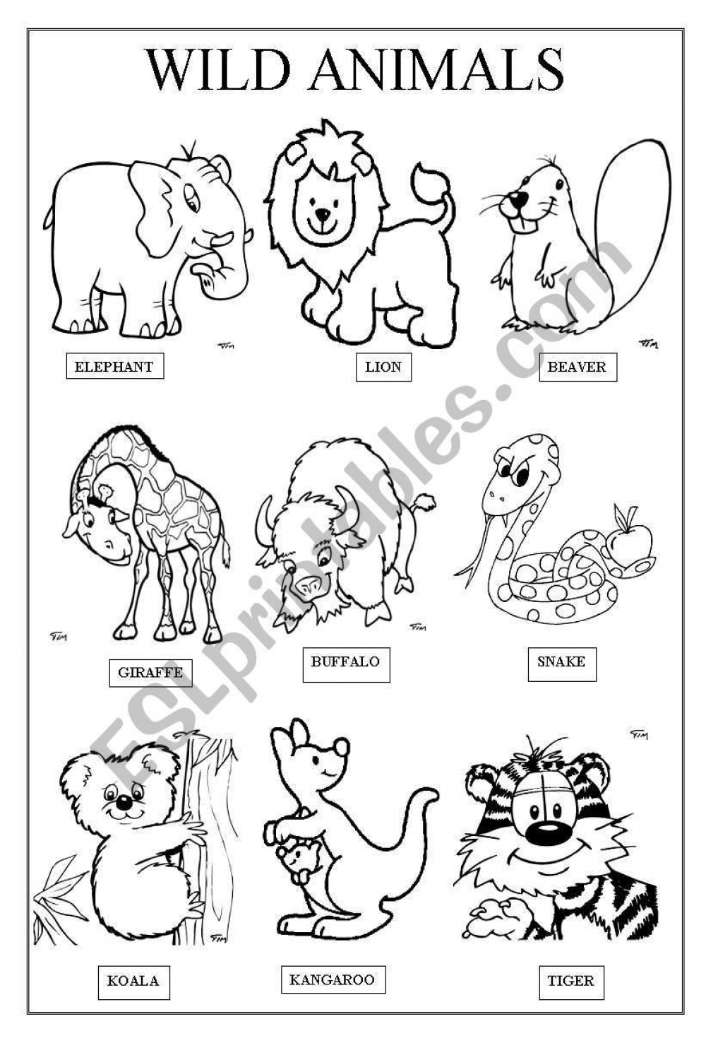 WILD ANIMALS - ESL worksheet by famosa  Animal worksheets