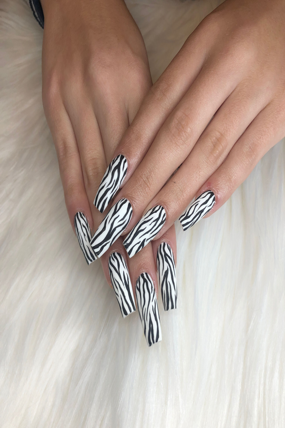 zebra nails acrylic  Zebra print nails, Zebra acrylic nails