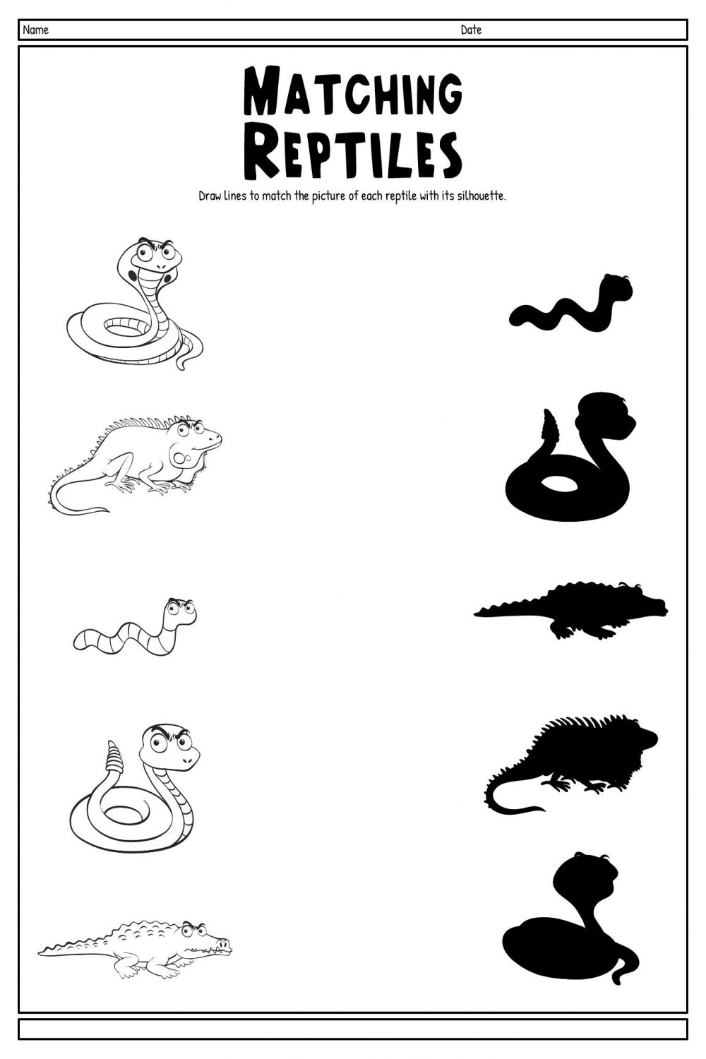 Amphibian Worksheets For Kindergarten  Kindergarten worksheets