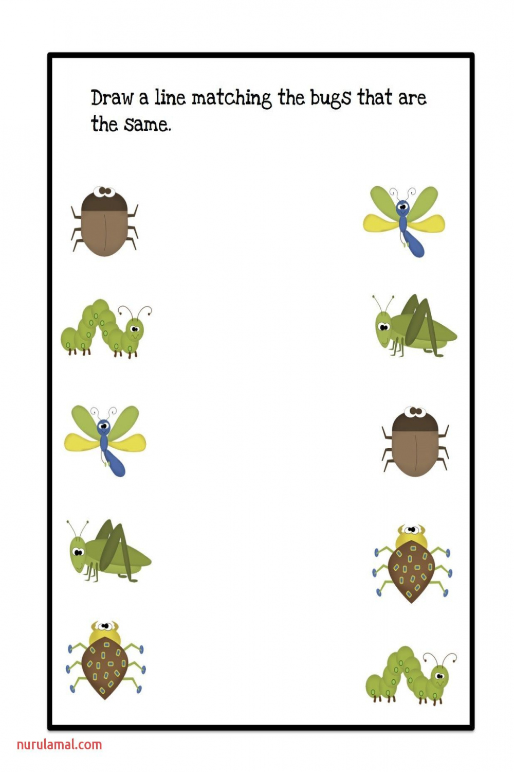 Preschool Bug and Insect Worksheets  Bugs preschool, Insects