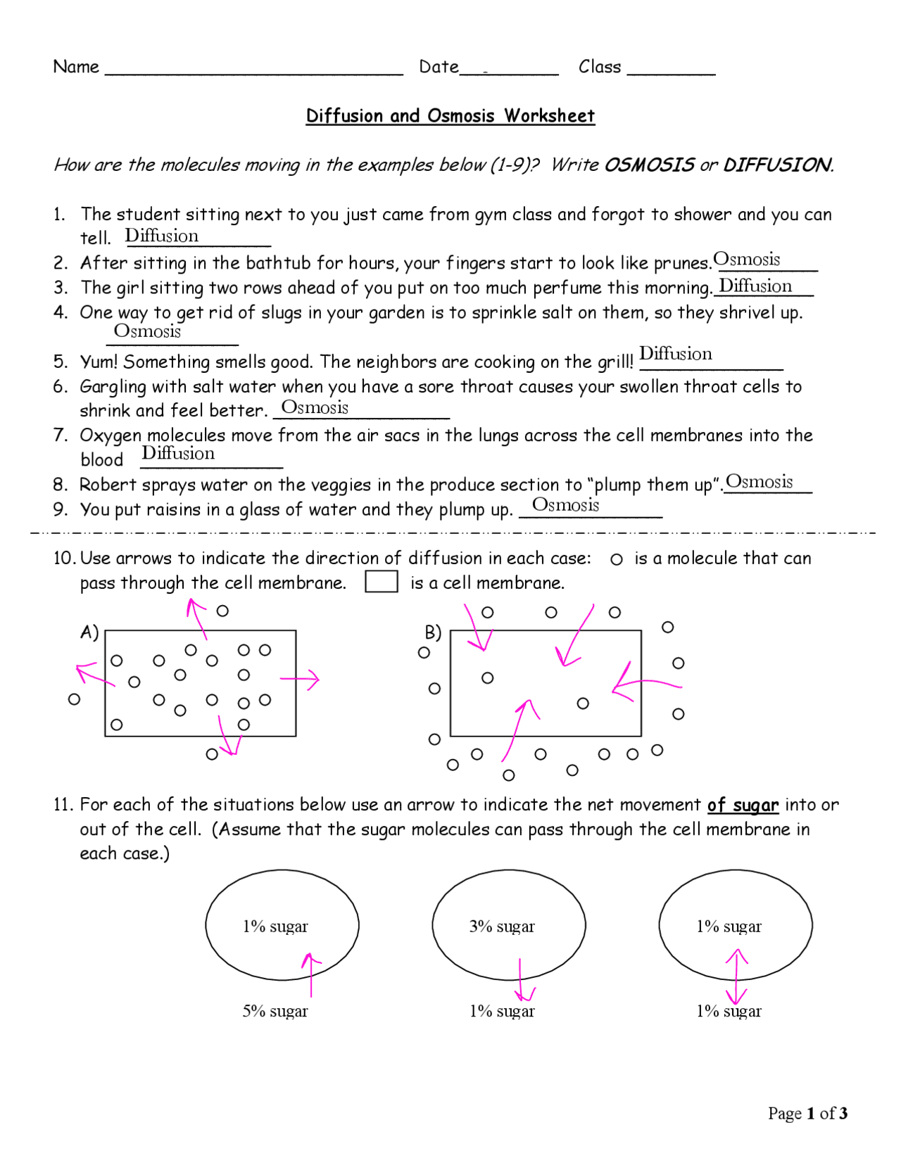 Get 85 Osmosis And Diffusion Worksheet Ideas 1