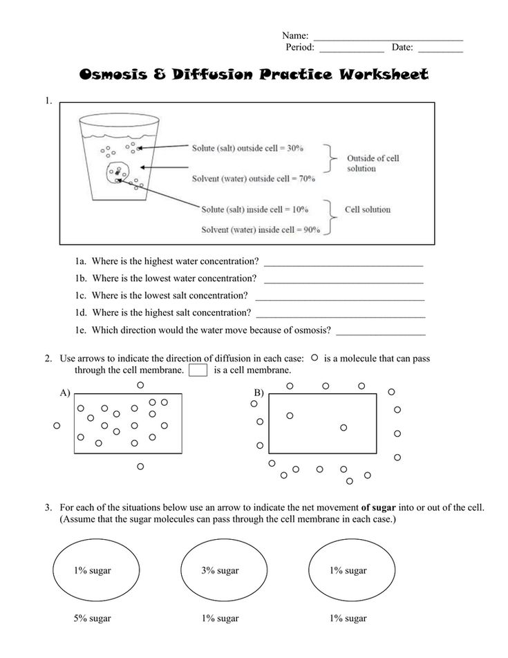 Get 85 Osmosis And Diffusion Worksheet Ideas 20