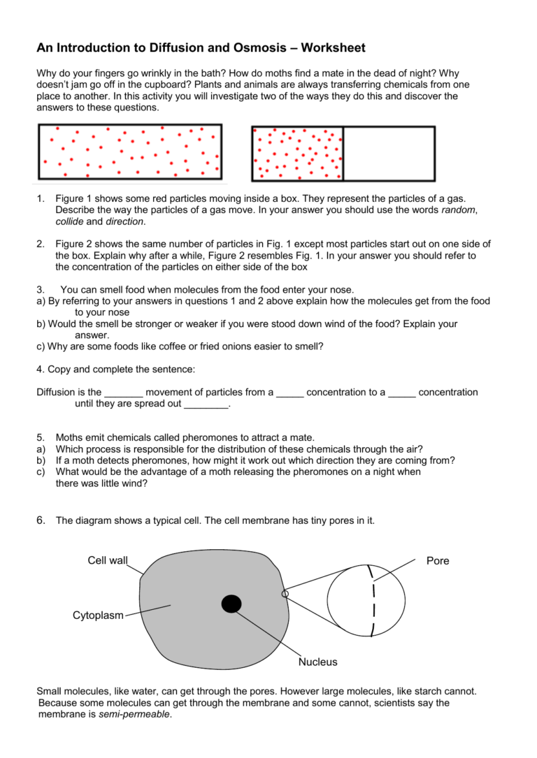 Get 85 Osmosis And Diffusion Worksheet Ideas 21