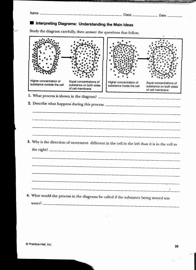 Get 85 Osmosis And Diffusion Worksheet Ideas 24