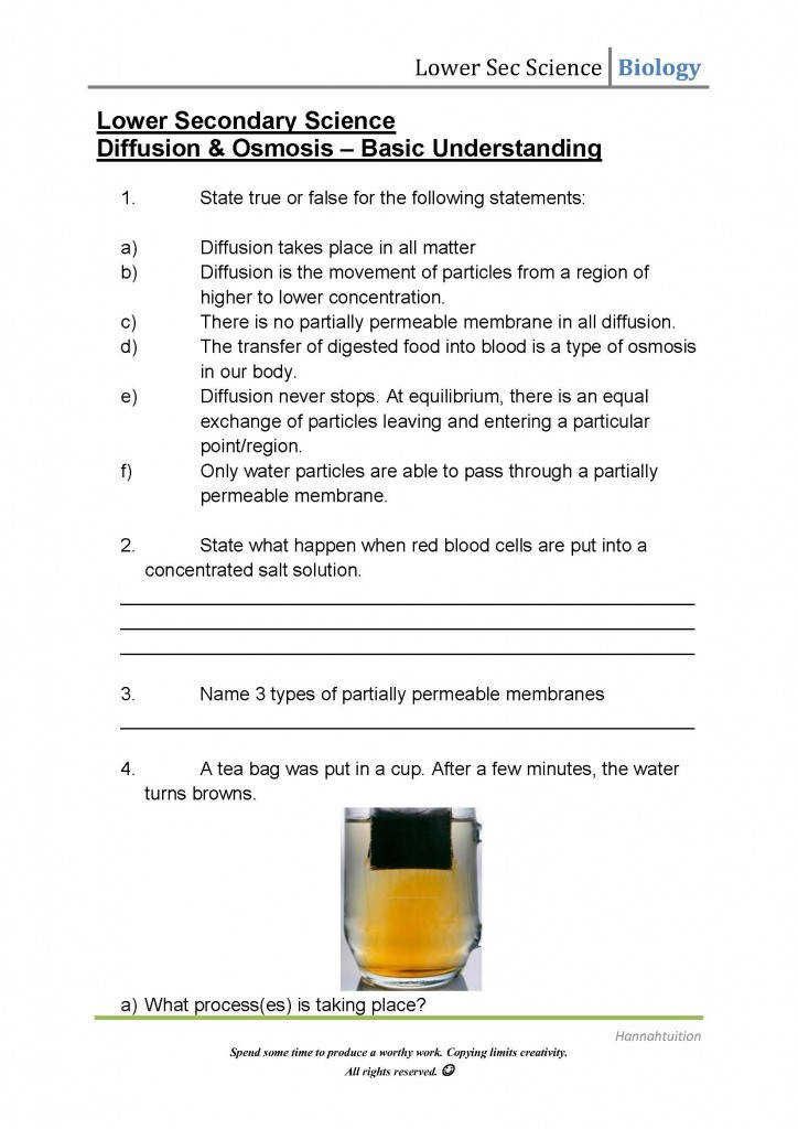 Get 85 Osmosis And Diffusion Worksheet Ideas 25