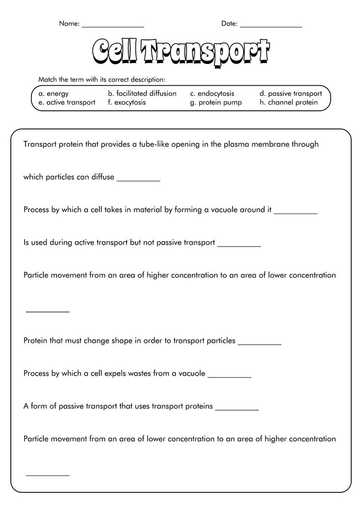 Get 85 Osmosis And Diffusion Worksheet Ideas 8