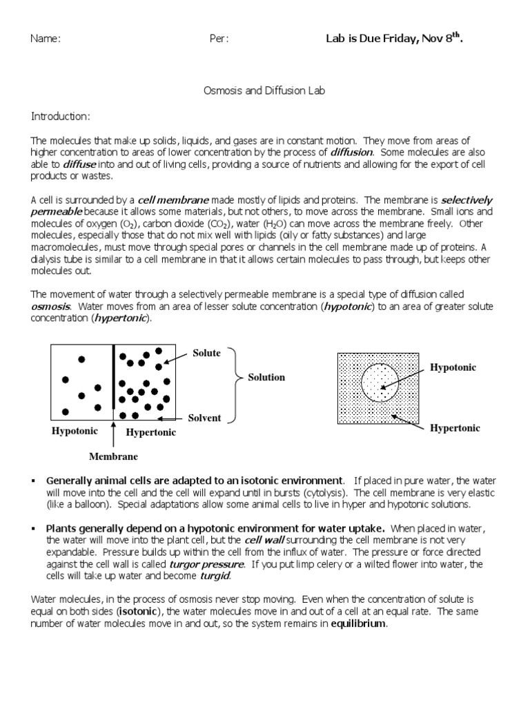 Get 85 Osmosis And Diffusion Worksheet Ideas 9