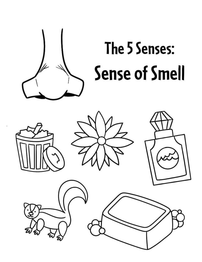 Get 85 Spring Sensory Worksheet 20