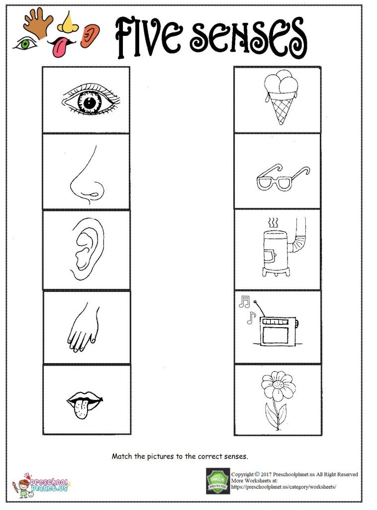 Get 85 Spring Sensory Worksheet 25