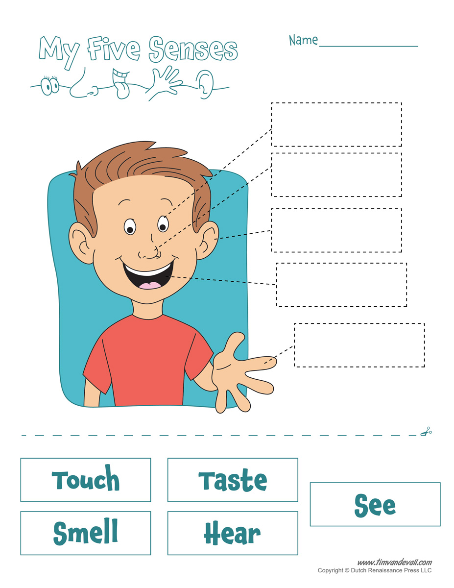 Get 85 Spring Sensory Worksheet 36