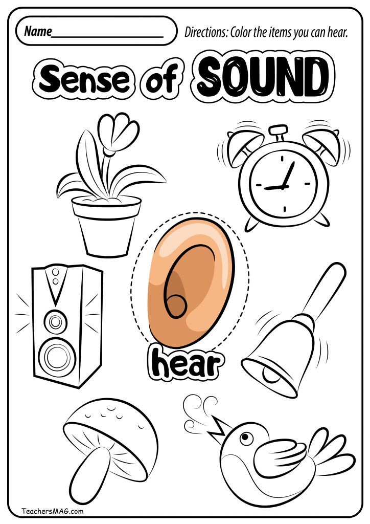 Get 85 Spring Sensory Worksheet 6