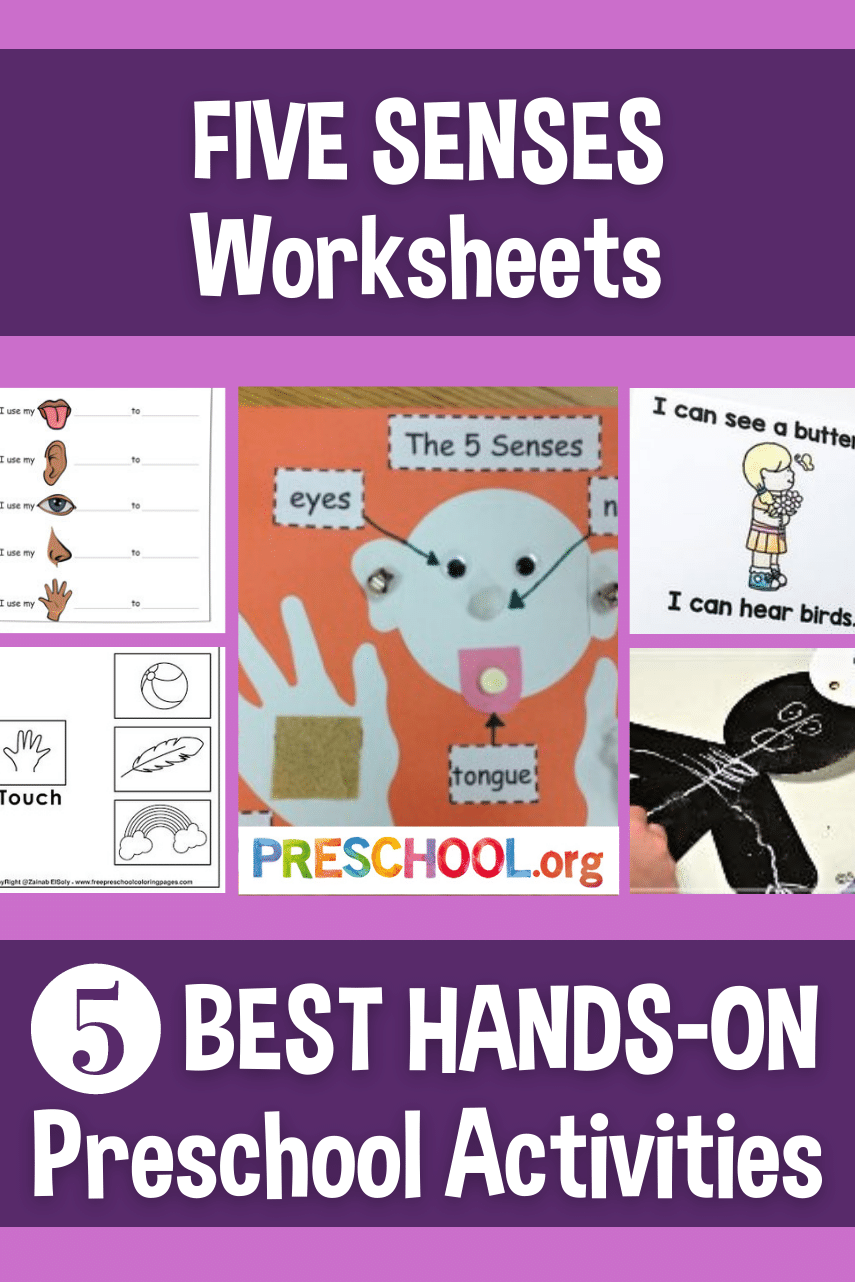 Get 85 Spring Sensory Worksheet 7