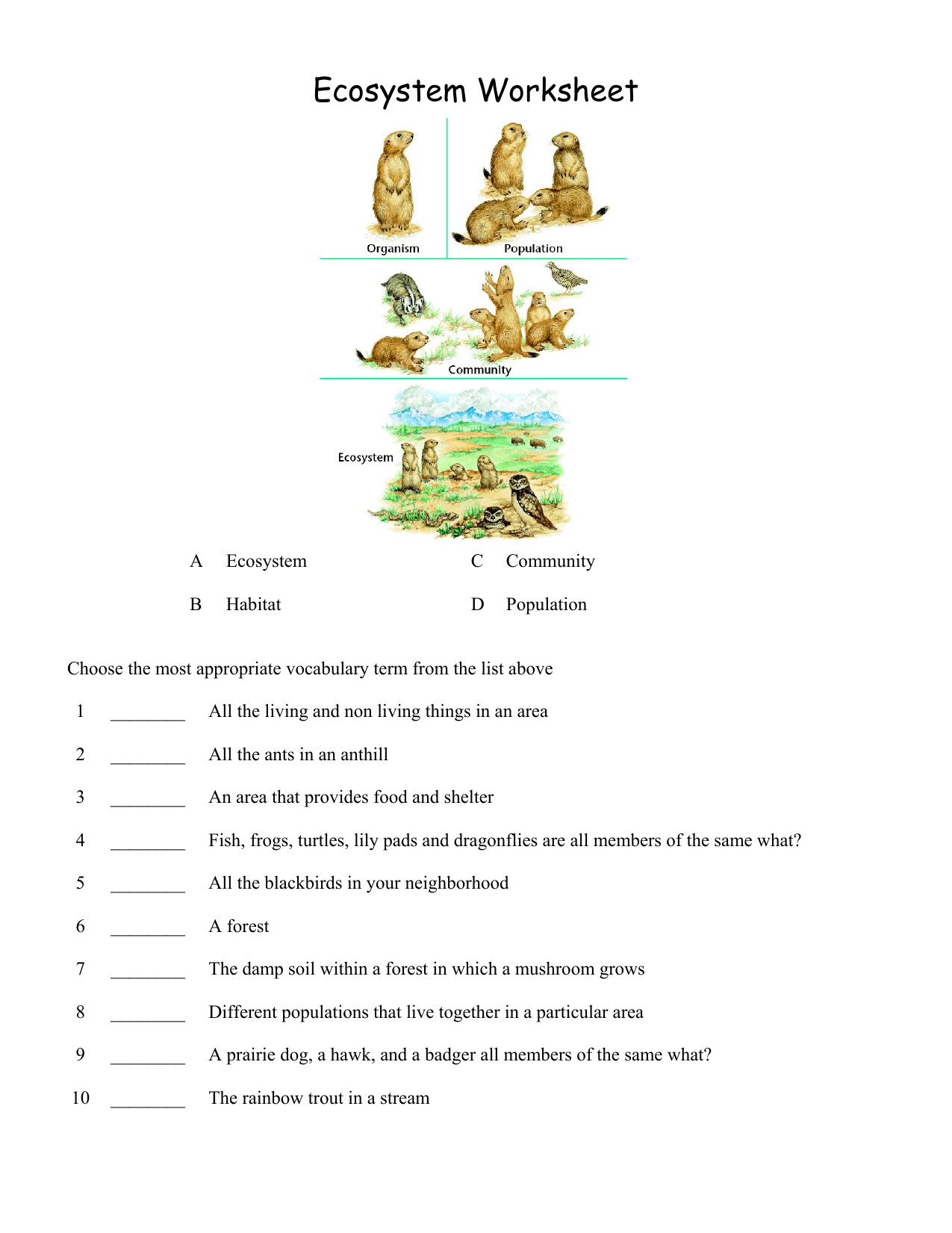 Get 85 Summer Ecosystem Worksheet 1