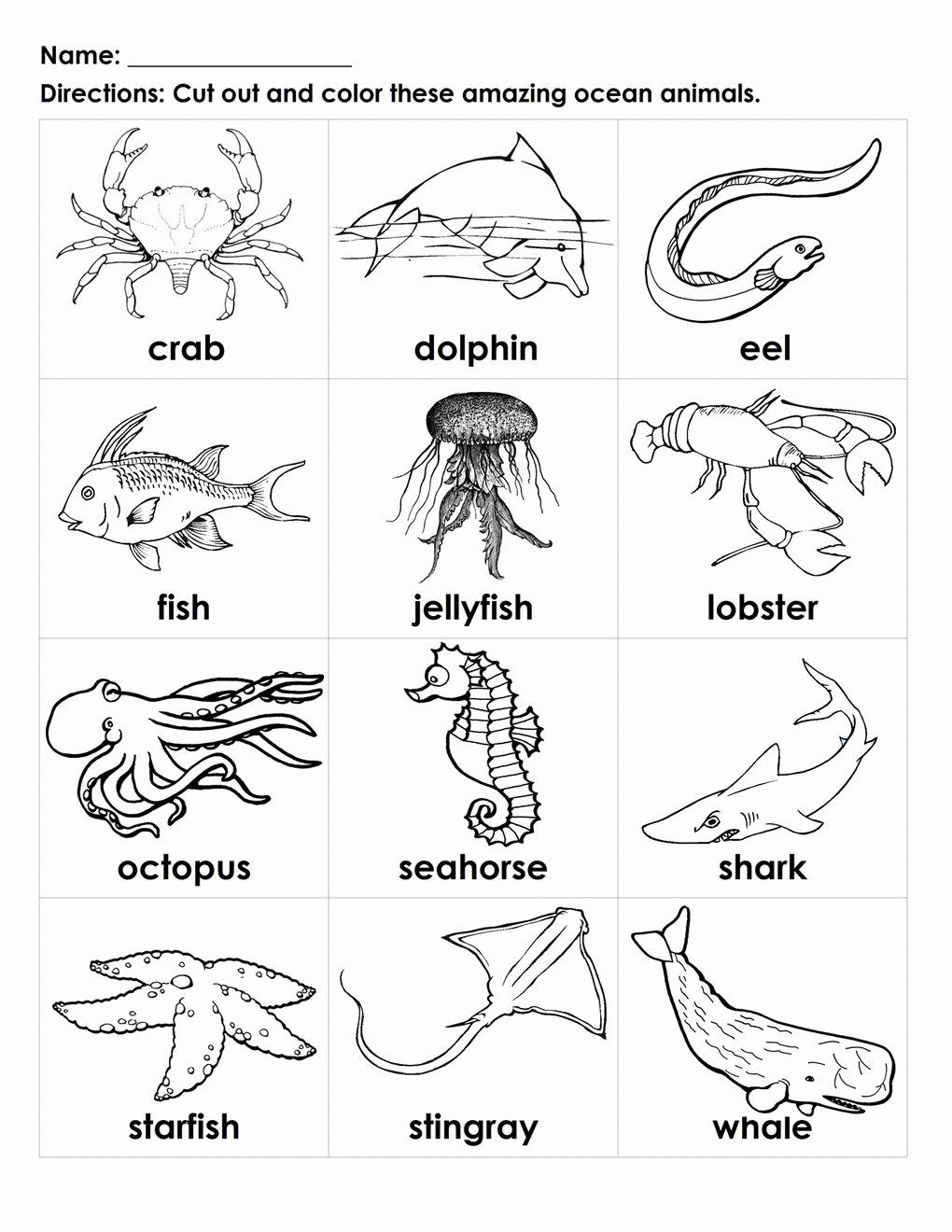 Get 85 Summer Ecosystem Worksheet 17