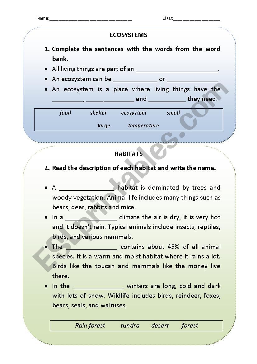 Get 85 Summer Ecosystem Worksheet 18