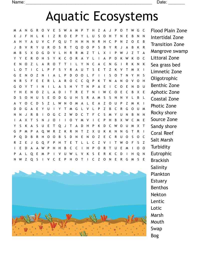 Get 85 Summer Ecosystem Worksheet 21