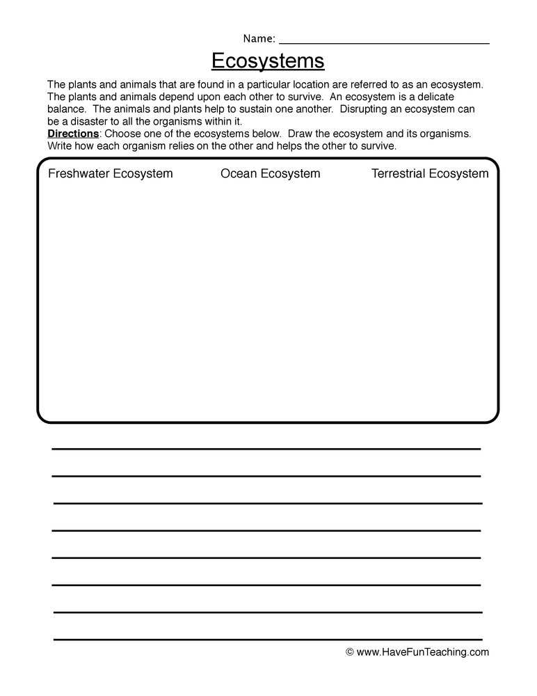 Get 85 Summer Ecosystem Worksheet 24