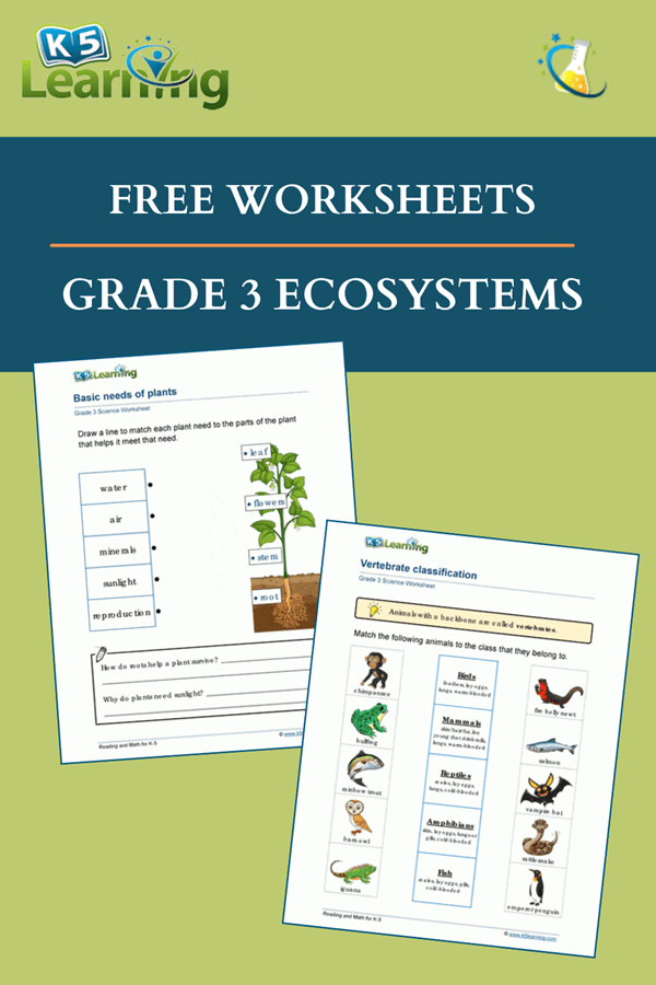 Get 85 Summer Ecosystem Worksheet 26