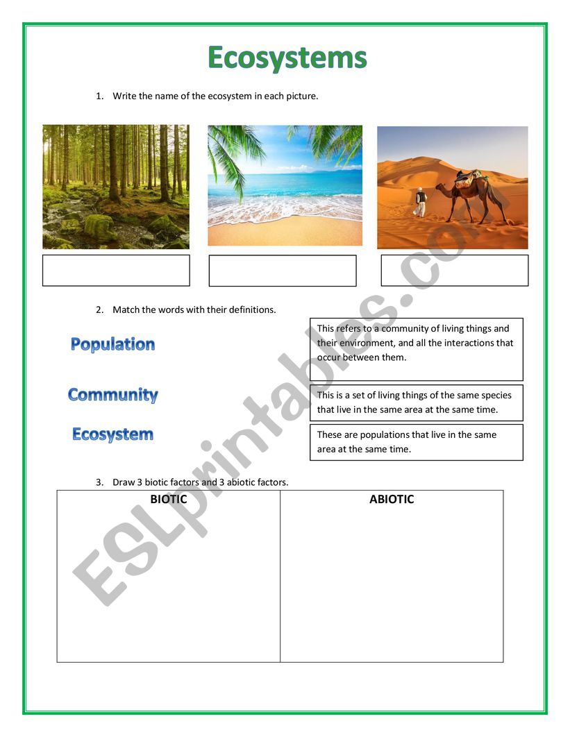 Get 85 Summer Ecosystem Worksheet 27