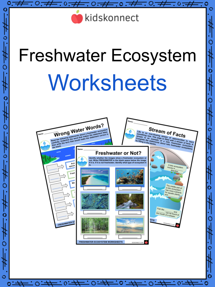 Get 85 Summer Ecosystem Worksheet 28