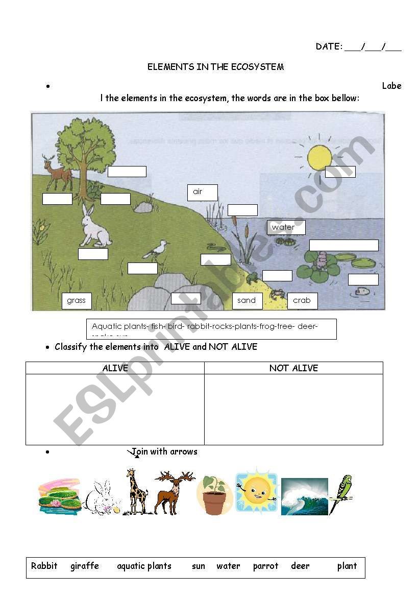 Get 85 Summer Ecosystem Worksheet 3