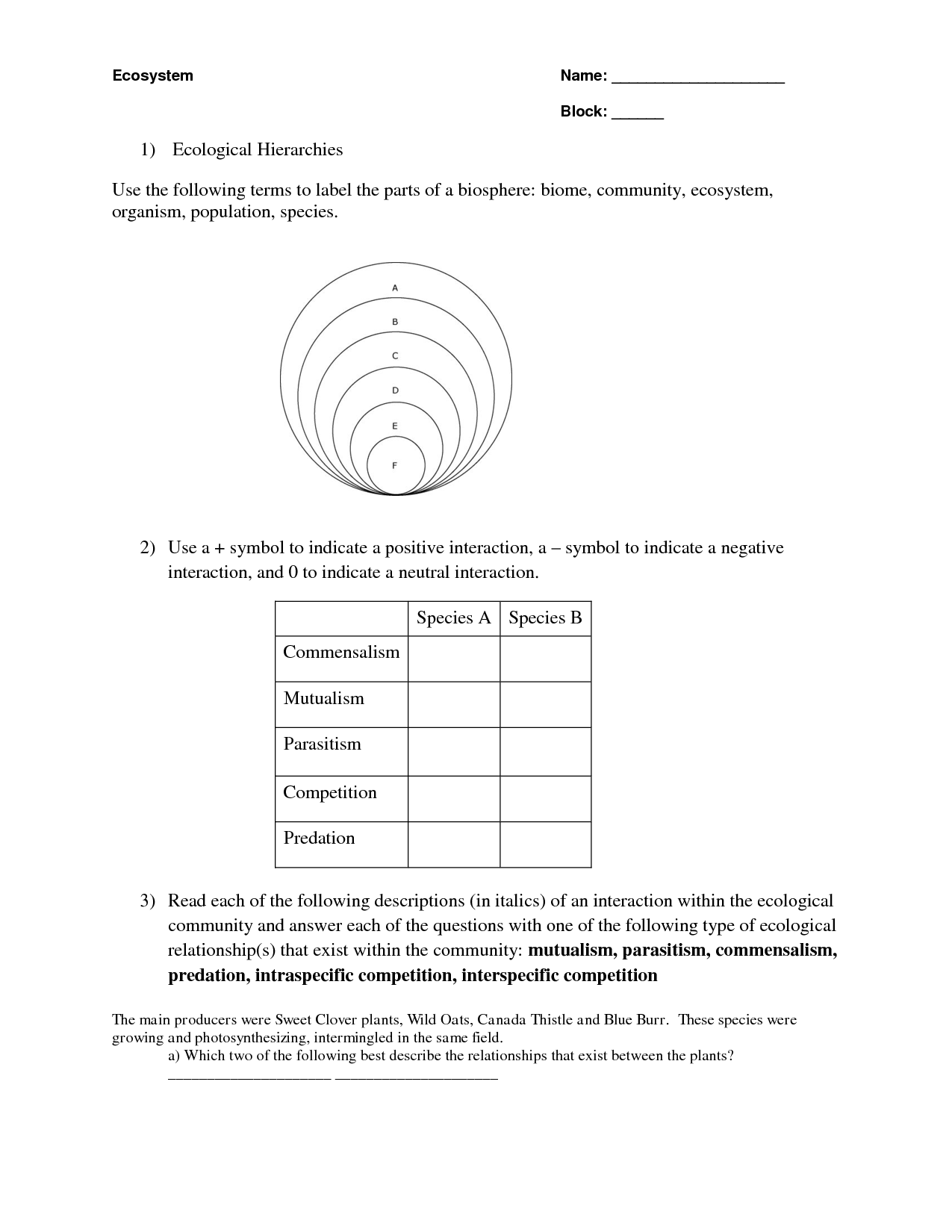 Get 85 Summer Ecosystem Worksheet 31