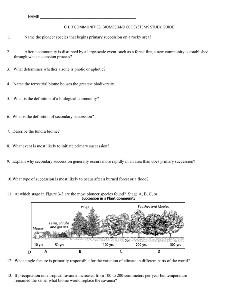 Get 85 Summer Ecosystem Worksheet 37