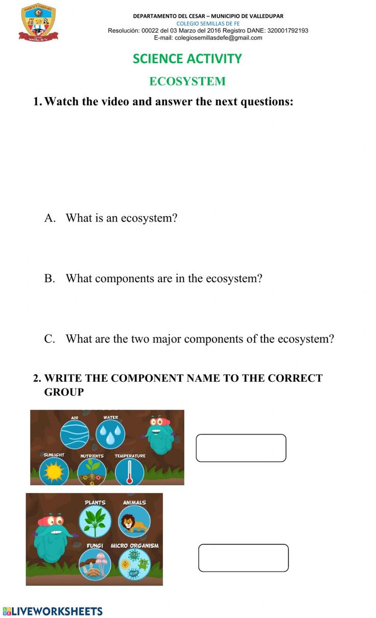 Get 85 Summer Ecosystem Worksheet 38