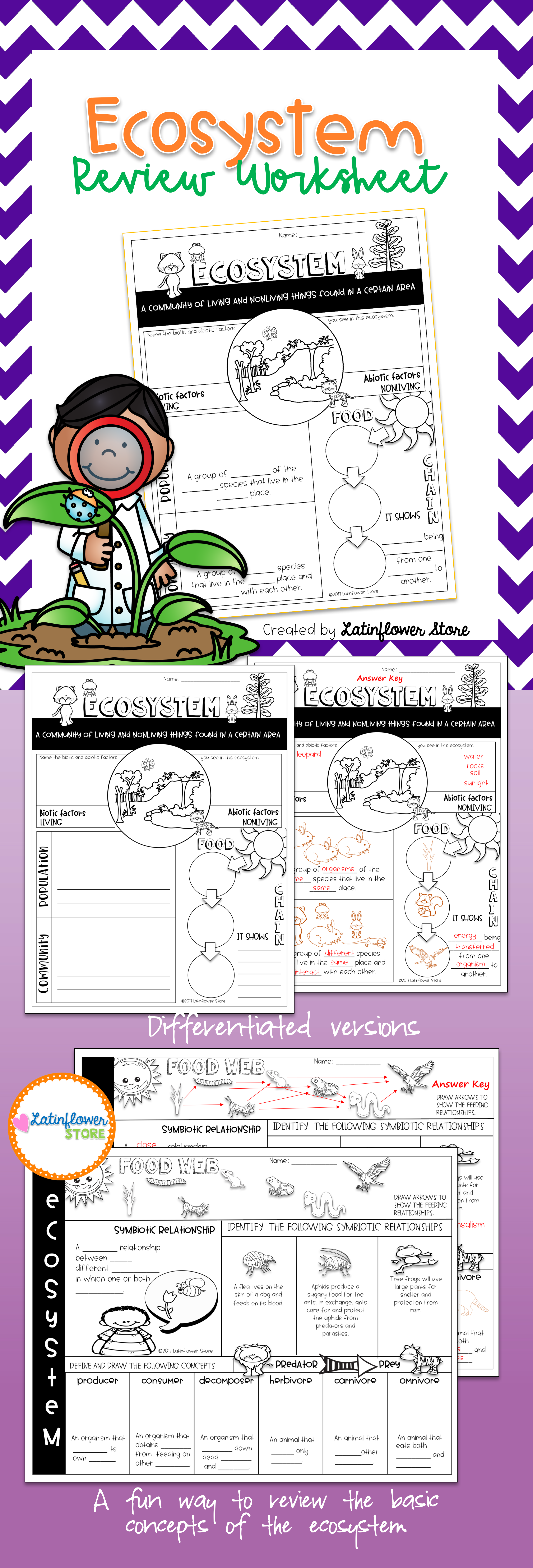 Get 85 Summer Ecosystem Worksheet 41