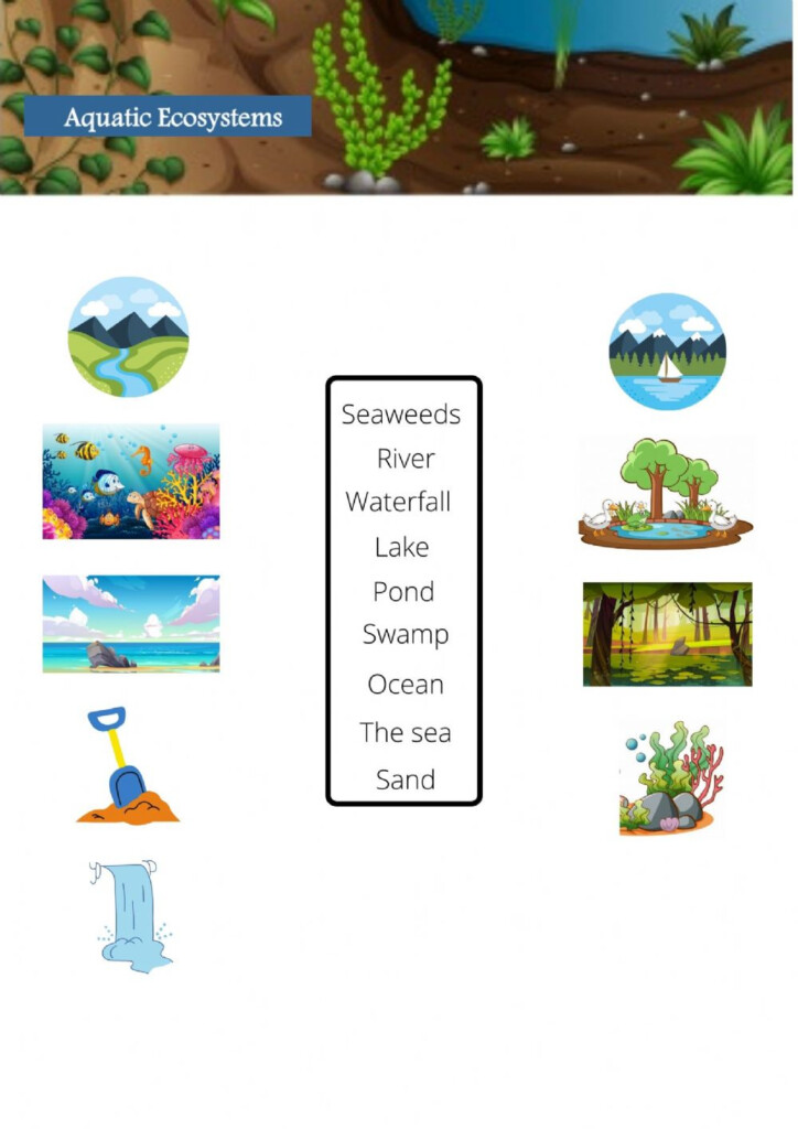 Get 85 Summer Ecosystem Worksheet 43