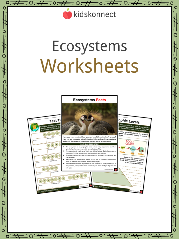 Get 85 Summer Ecosystem Worksheet 46