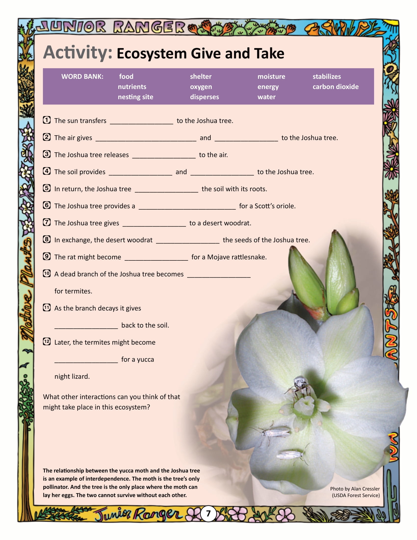 Get 85 Summer Ecosystem Worksheet 50