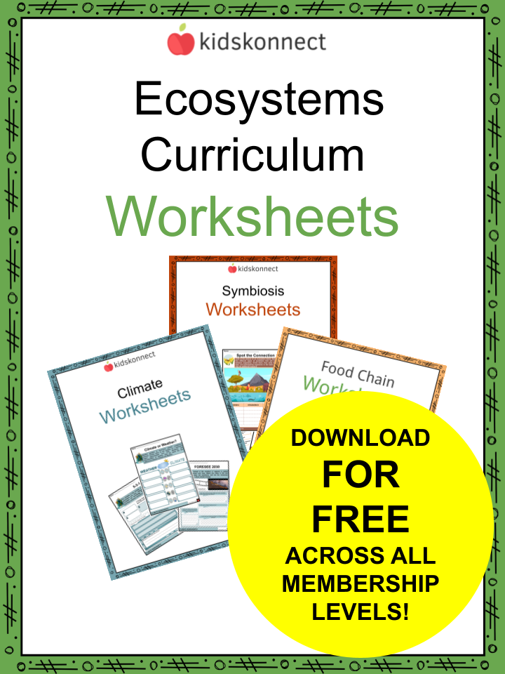 Get 85 Summer Ecosystem Worksheet 66