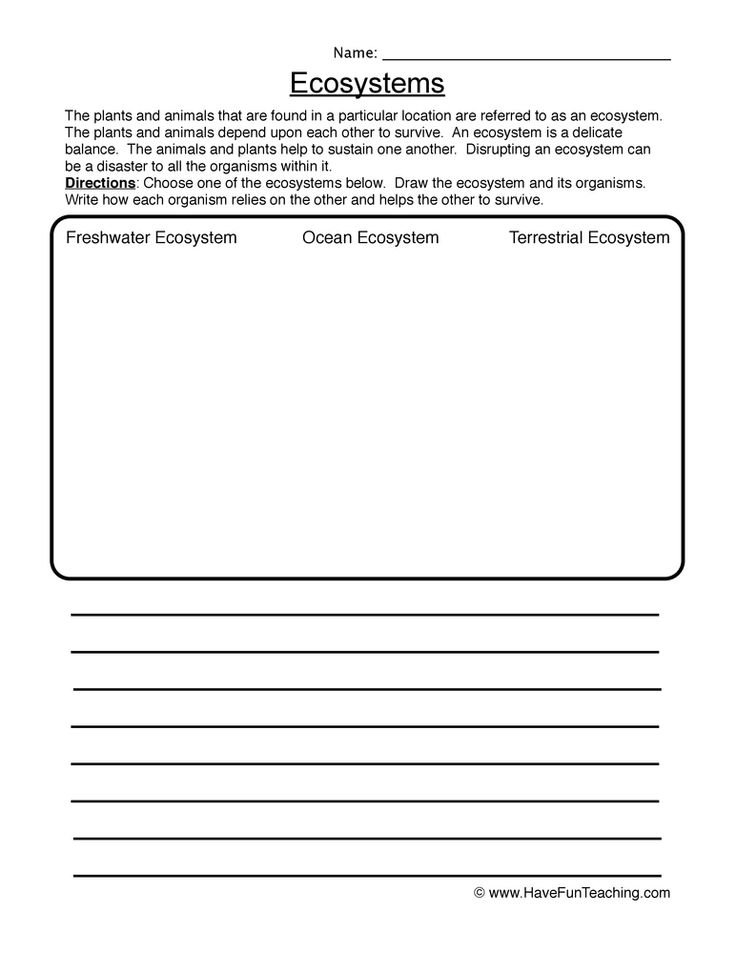 Get 85 Summer Ecosystem Worksheet 67