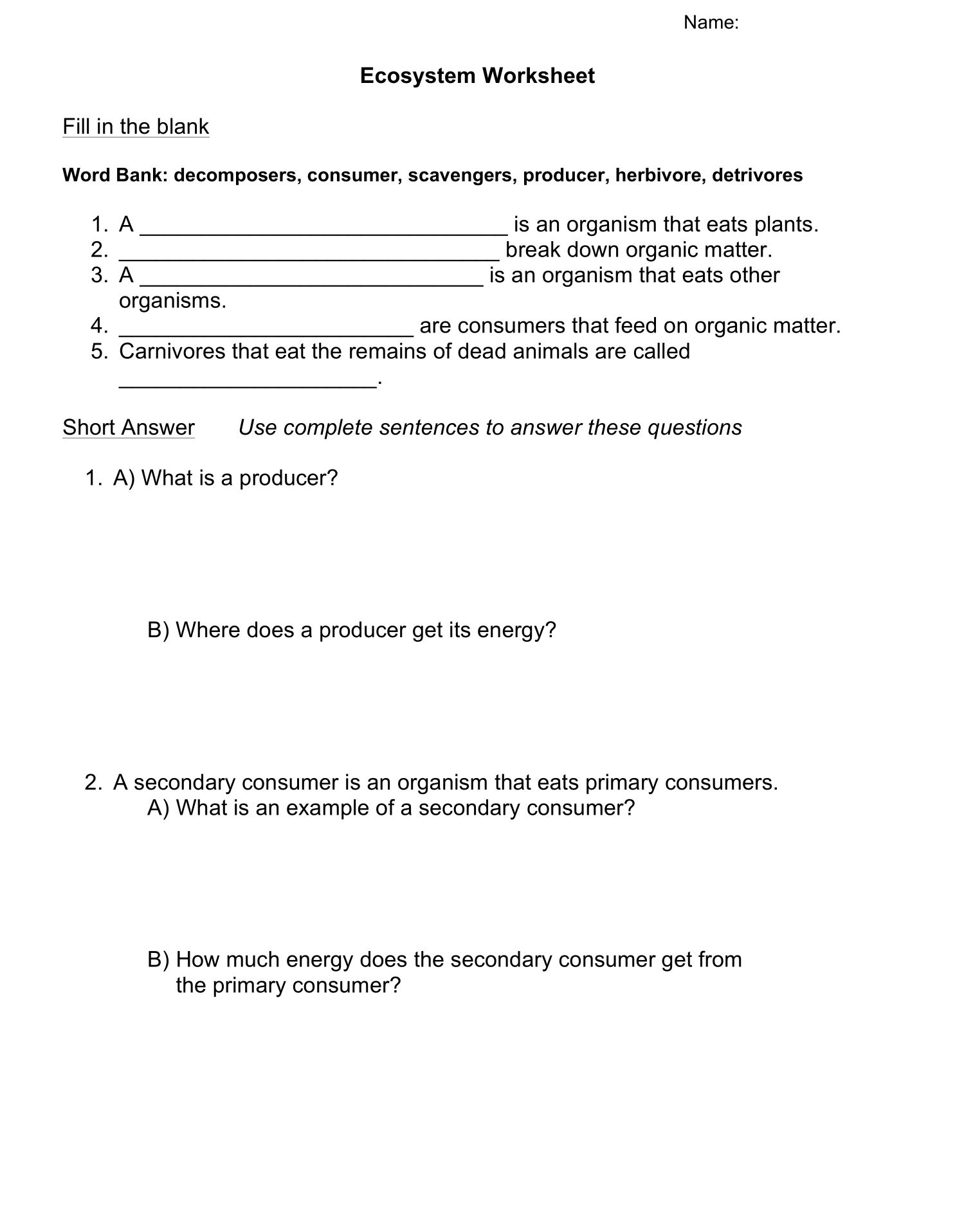 Get 85 Summer Ecosystem Worksheet 69