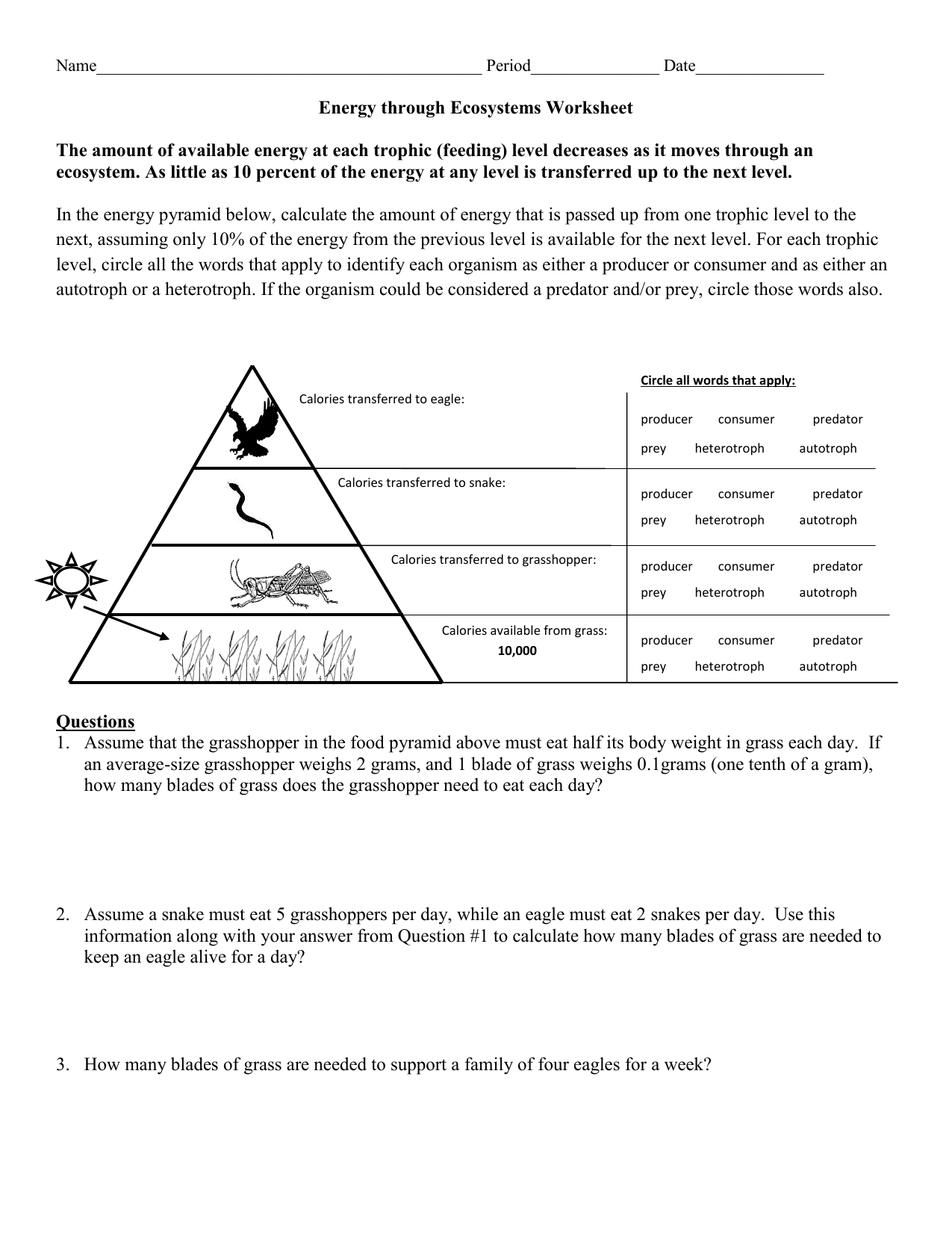 Get 85 Summer Ecosystem Worksheet 7