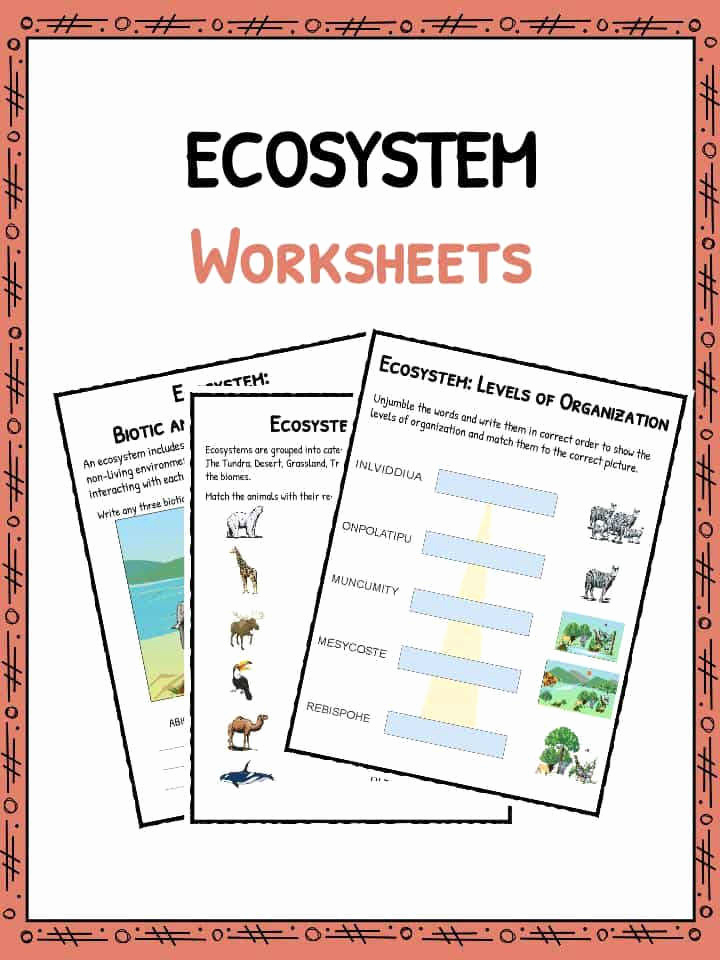 Get 85 Summer Ecosystem Worksheet 70