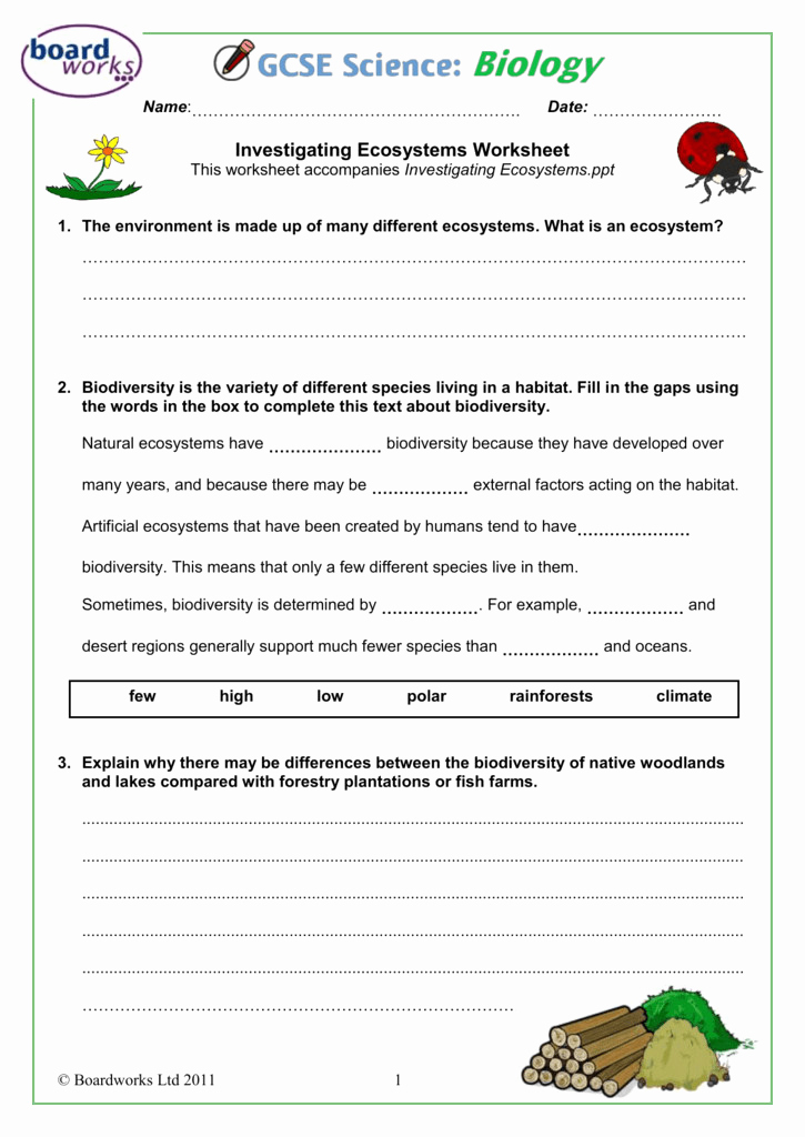 Get 85 Summer Ecosystem Worksheet 75