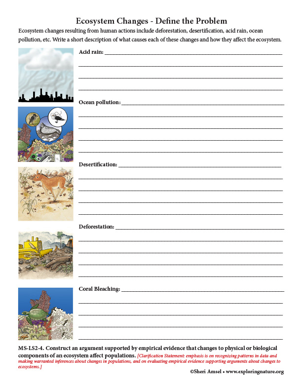 Get 85 Summer Ecosystem Worksheet 78