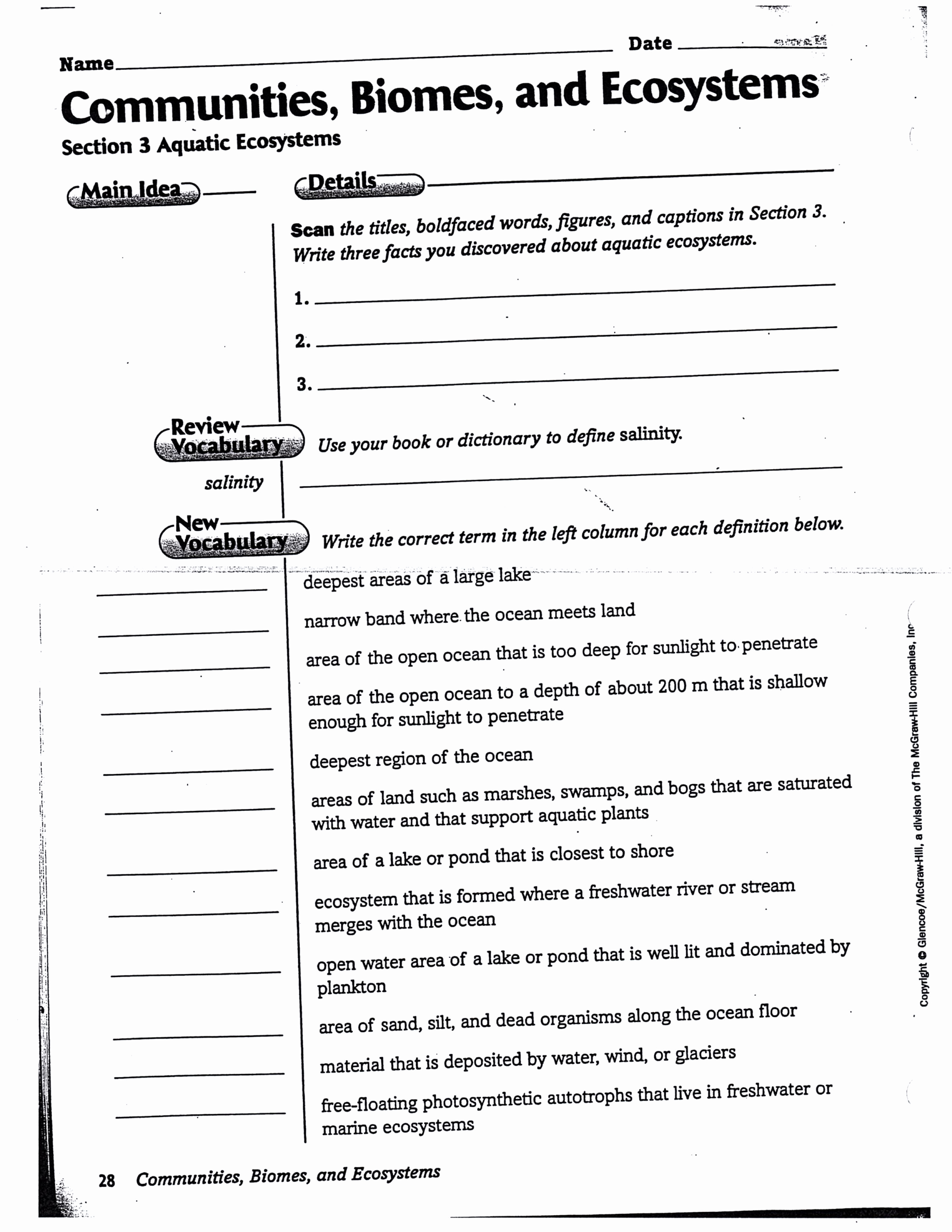 Get 85 Summer Ecosystem Worksheet 79